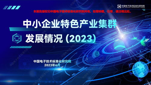 中國電子技術(shù)標(biāo)準(zhǔn)化研究院2023年中小企業(yè)特色產(chǎn)業(yè)集群發(fā)展情況 聚焦計算機(jī)網(wǎng)絡(luò)科技技術(shù)開發(fā)